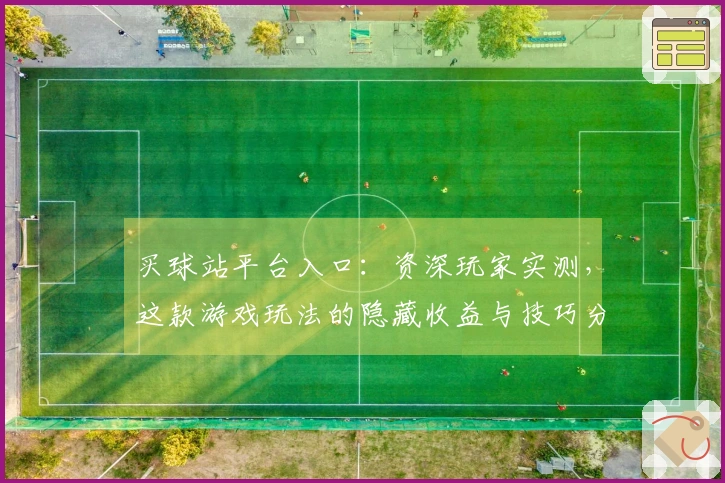 买球站平台入口：资深玩家实测，这款游戏玩法的隐藏收益与技巧分享